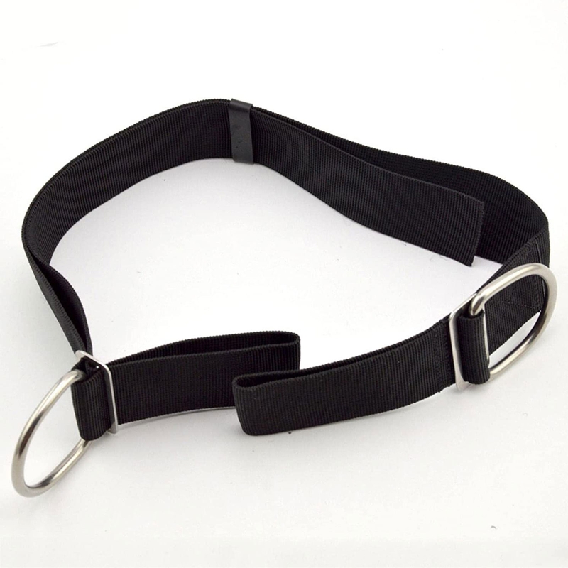 Correa de entrepierna de buceo - Tech Gear Accessories reseña y precio